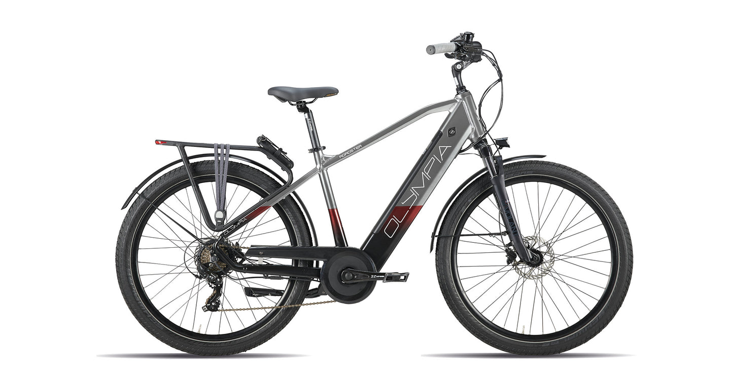 CITY E-BIKE OLYMPIA ROADSTER
