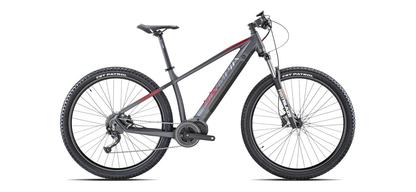 E-BIKE OLYMPIA MASTER 630