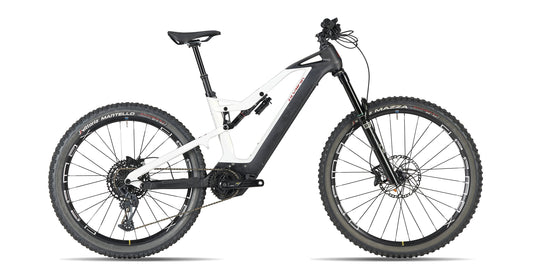 E-BIKE OLYMPIA KARBO EDGE